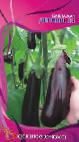 Photo Eggplant grade Dervish F1