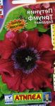 სურათი ბაღის ყვავილები Petunia , შინდისფერი