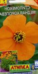 Nuotrauka Sodo Gėlės Vėjo Aguonų (Stylomecon heterophyllum), oranžinis