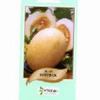 foto Il melone la cultivar Titovka