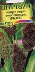 სურათი დეკორატიული მცენარეები ცოცხი სიმინდის მარცვლეული (Sorghum), ყავისფერი
