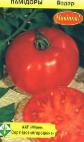 Foto Los tomates variedad Vodar