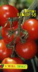 Foto Los tomates variedad Otbor 55