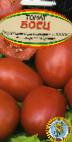 Foto Los tomates variedad Boec