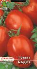 Foto Los tomates variedad Kadet