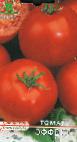 Foto Los tomates variedad Ehffekt