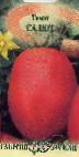 Foto Tomaten klasse Salyut
