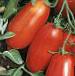 Foto Los tomates variedad Semko-2000 F1