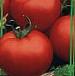 Foto Los tomates variedad Rok-n-Roll F1