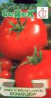 Photo des tomates l'espèce Komandor
