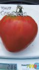 Photo des tomates l'espèce Serdceed