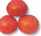 Foto Los tomates variedad Skif F1 