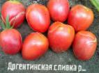 Photo des tomates l'espèce Argentinskaya slivka rozovaya 