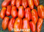 Foto Los tomates variedad Italyanskie 