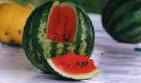 Foto Wassermelone klasse Rannijj Kubani