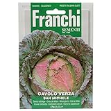 Franchi Sementi - Cavolo Verza San Michele foto, nuovo 2024, miglior prezzo EUR 2,61 recensione