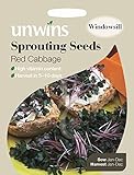 Unwins, pacco illustrato con 3000 semi germogliati di cavolo rosso foto, nuovo 2024, miglior prezzo EUR 1,66 recensione