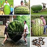 30 / bag semi gigante anguria, sapore dolce verdure e semi di frutta molto giganti deliziosa foto, nuovo 2024, miglior prezzo EUR 9,99 recensione