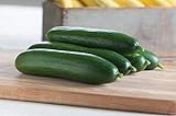 David's Garden Seeds Cucumber Slicing Diva 2196 (Green) 50 Non-GMO, Open Pollinated Seeds Photo, new 2024, best price $4.45 review
