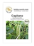 Capitano Buschbohne BIO-Bohnensamen von Bobby-Seeds, Portion Foto, neu 2024, bester Preis 2,95 € Rezension