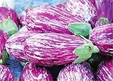 200 Pcs Eggplant Seeds Striped Long Heirloom Vegetable Seed Photo, new 2024, best price $7.90 ($0.04 / Count) review