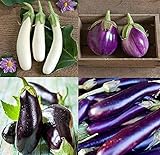 David's Garden Seeds Collection Set Eggplant 4432 (Multi) 4 Varieties 200 Non-GMO, Open Pollinated Seeds Photo, new 2024, best price $16.95 ($4.24 / Count) review
