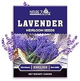 1400 English Lavender Seeds for Planting Indoors or Outdoors, 90% Germination, to Give You The Lavender Plant You Need, Non-GMO, Heirloom Herb Seeds Photo, new 2024, best price $5.99 ($0.01 / Count) review