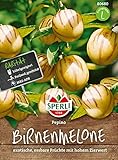 80680 Sperli Premium Birnenmelone Samen | Melonenbirne Samen | Pepino Samen | Pepino Melonenbirne Samen | Birnenmelone Pflanze | Melonenbirne Pflanze Foto, neu 2024, bester Preis 6,77 € Rezension