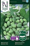 Mexikanische Minigurken Samen - Nelson Garden Gemüsesamen - Snackgurken Samen Saatgut (10 Stück) (Gurke, Mini, Einzelpackung) Foto, neu 2024, bester Preis 4,45 € Rezension