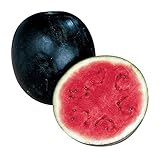 Burpee Sugar Baby Watermelon Seeds 75 seeds Photo, new 2024, best price $8.11 review