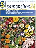 Samenshop24´s Bienenfreude, niedrige Blumenmischung (1 Stück) Foto, neu 2024, bester Preis 2,49 € (2,49 € / Stück) Rezension