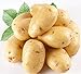foto PlenTree 120 pezzi di patate Semi Antirughe nutrizione verde vegetale per il giardino domestico che pianta i semi di patate assorbendo la radiazione recensione