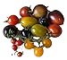 Foto Zuckersüßer Tomaten-Samen Mix ★ Top Ertrag & Sehr Süß ★ 5 Arten by Samenchilishop Rezension