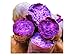 Foto KINGDUO 20Stk/Bag Sweet Potato Seeds Frisch Gemüse Grün Landwirtschaft Pflanzen Rot Violett Kartoffelsamen-Lila Rezension