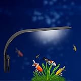 Luce LED acquario UEETEK Lampada clip per acquario luminoso con luce bianca foto, nuovo 2024, miglior prezzo EUR 12,99 recensione
