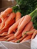 Carote giganti, uniche e gustose, circa 50 semi, ad alto contenuto di carotene, un’esplosione di vitamine foto, nuovo 2024, miglior prezzo EUR 2,49 recensione