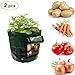 Foto Kartoffelsamen Tasche, 7-gallon Gemüse Übertopf Klappe Beutel mit Griffen und für Kartoffel, Karotte & Zwiebel (Pack von 2) Rezension