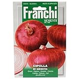 franchi cipolla rossa di Genova foto, nuovo 2024, miglior prezzo EUR 2,61 recensione