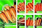 Portal Cool Nastro di semi di carota Amsterdam Per.: Suttons semi di carota pacchetti di semi foto, nuovo 2024, miglior prezzo EUR 9,99 recensione