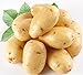 Foto 120 PC / bag Importierte Kartoffelsamen Anti-Falten Ernährung Grün Bonsai Gemüse für Hausgarten Pflanz strahlungsabsorbierende Rezension