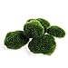 foto Xuniu 5 Pezzi Artificiale Verde Muschio Pietra Finta Roccia Micro Accessori Arredamento Paesaggio recensione