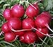 foto Plantree Crimson Giant: 200+ Nuovi Semi di ravanello Non OGM - Champion Cherry Belle Crimson Giant Scarlet Globe recensione