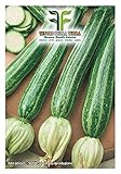 40 C.ca Semi Zucchino San Pasquale - Cucurbita Pepo In Confezione Originale Prodotto in Italia - Zucchine foto, nuovo 2024, miglior prezzo EUR 7,40 recensione