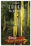 Semi - Zucca da Pergola (Lagenaria longissima) foto, nuovo 2024, miglior prezzo EUR 4,64 recensione