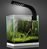 LONDAFISH Acquario Luce Acquatica Illuminazione LED per Fish Tank Bianco/Nero 10W (Nero) foto, nuovo 2024, miglior prezzo EUR 18,00 recensione