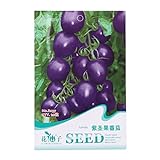 Kofun viola pomodoro verdure semi bella e Vivid Flower verdure piantare semi 20 pezzi/1 borsa, Purple Tomato, 1 Bag foto, nuovo 2024, miglior prezzo EUR 3,44 recensione