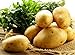 foto Bloom Green Co. 100pcs Giant & amp; I semi di patate viola anti-rughe Nutrizione verde vegetale per il giardino domestico di semina di piante di patate giardino rare: 7 recensione