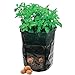 foto Moonvvin Garden Grow Bag,7 Gallon Heavy Duty Durevole Borsa con Manici Verdura Patate Sacchi per Patate, Carota, Cipolla e Verdure Fiore pianta recensione