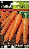 Semillas Batlle – Semi di carota foto, nuovo 2024, miglior prezzo EUR 3,90 recensione
