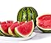 Foto Bobby-Seeds Melonensamen Viking F1 Wassermelone Portion Rezension